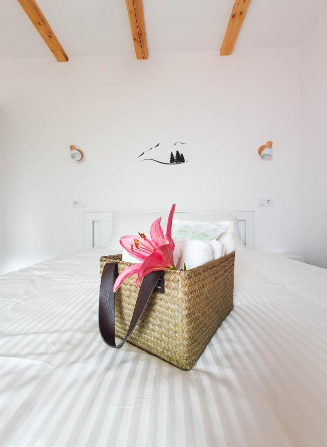 Domeniul Acasa In Vadu Izei Maramu Hotel Ngoại thất bức ảnh