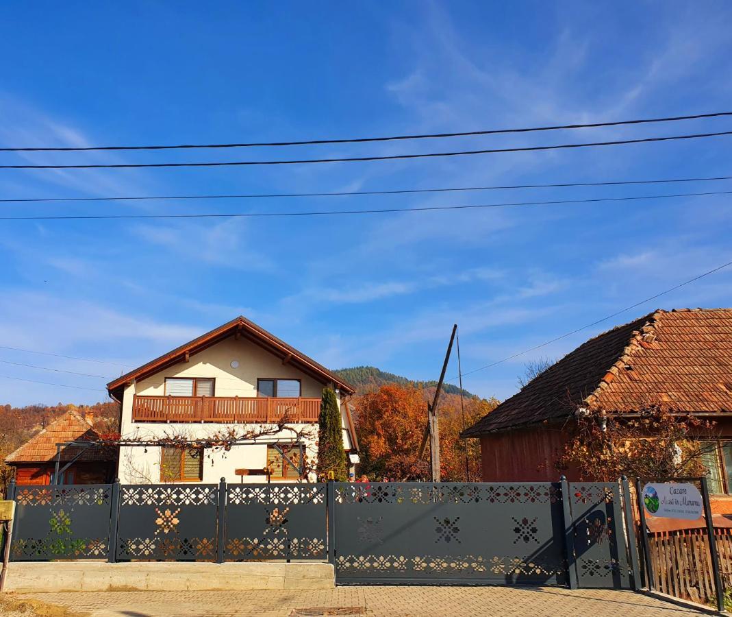 Domeniul Acasa In Vadu Izei Maramu Hotel Ngoại thất bức ảnh